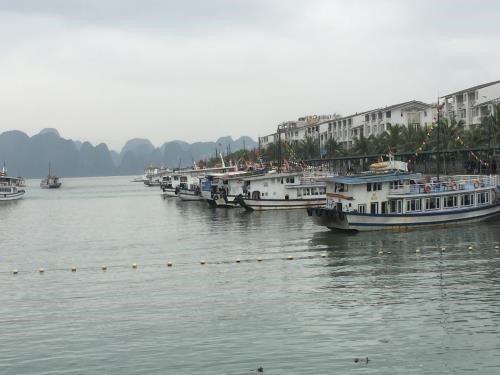 Mô hình “xe bus” trên vịnh Hạ Long