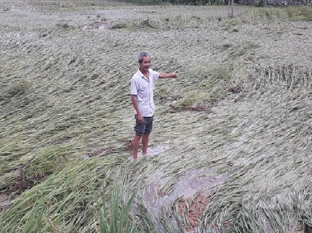 Thái Nguyên: Cần kiên quyết xử lý đơn vị khai mỏ vi phạm về bảo vệ môi trường