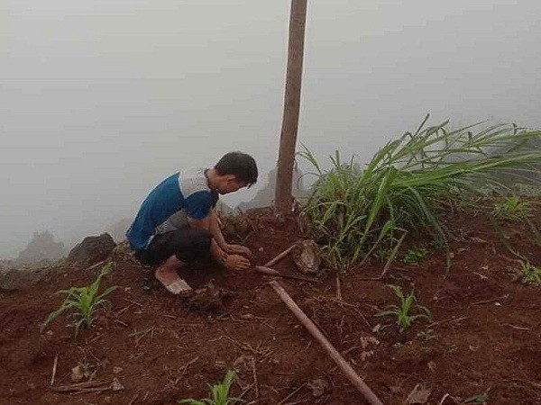 Tinh thần vượt khó trong học tập của chàng trai Hà Giang