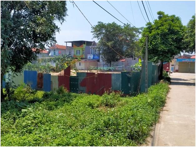 Mê Linh (Hà Nội) – Có hay không chính quyền làm ngơ đối với các sai phạm trên đất nông nghiệp tại xã Chu Phan?