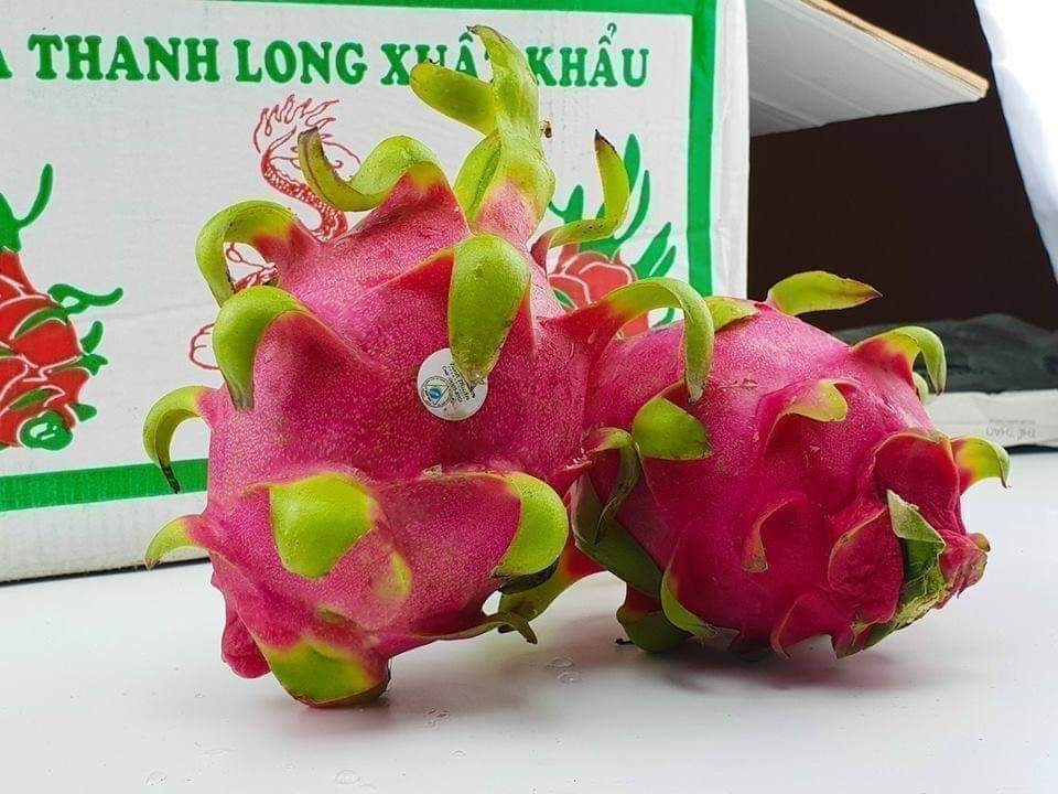 Tín hiệu tích cực từ xuất khẩu rau quả