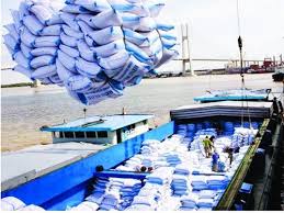 Giá gạo xuất khẩu Việt Nam vươn lên dẫn đầu thế giới