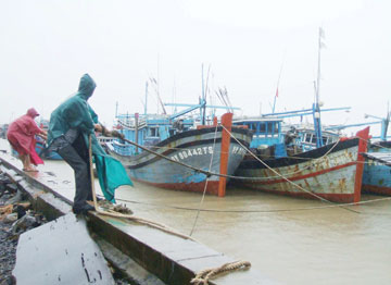 Tập trung ứng phó khẩn cấp bão số 7