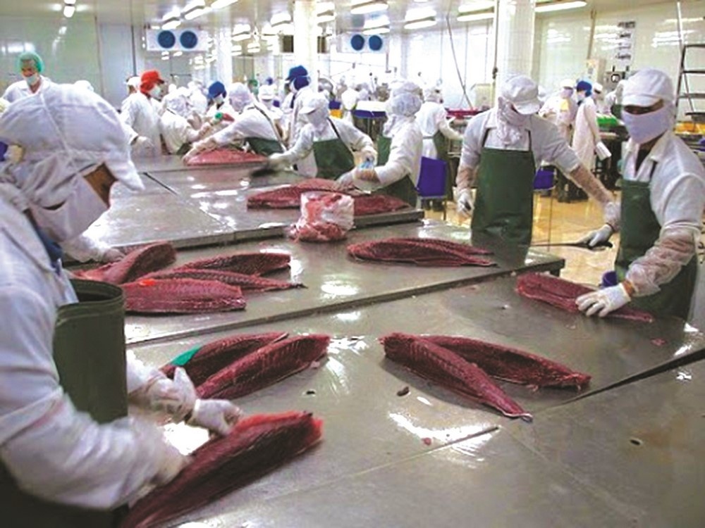 thuc day san pham ca ngu viet nam vao chau au
