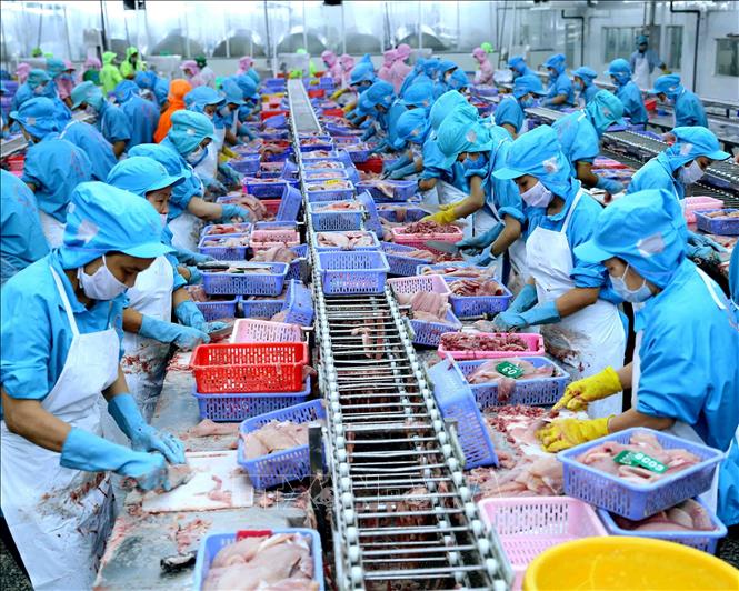 Thị trường xuất khẩu phục hồi, doanh nghiệp lạc quan?
