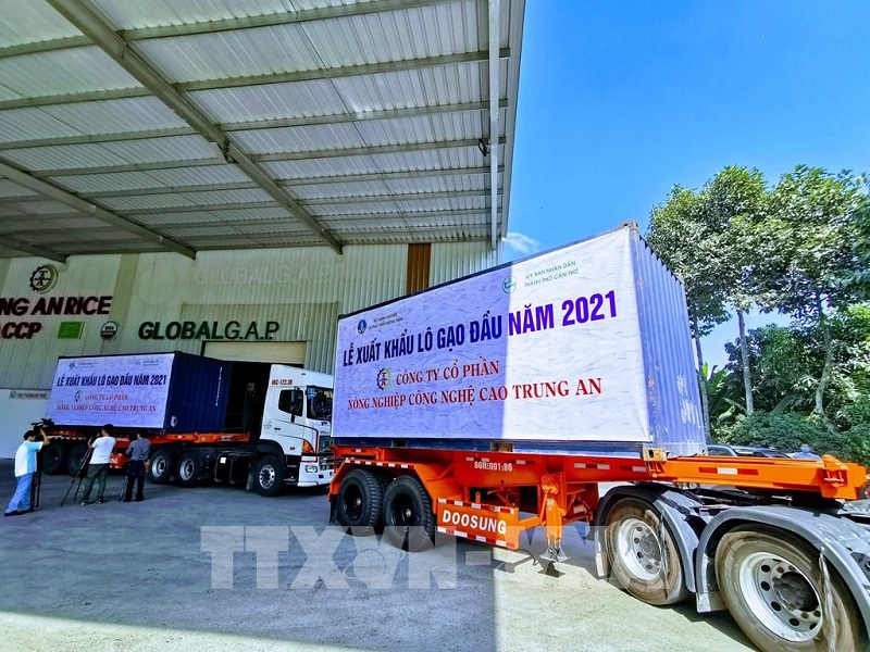 Lô gạo thơm xuất khẩu đầu năm 2021 đạt giá 750 USD/tấn