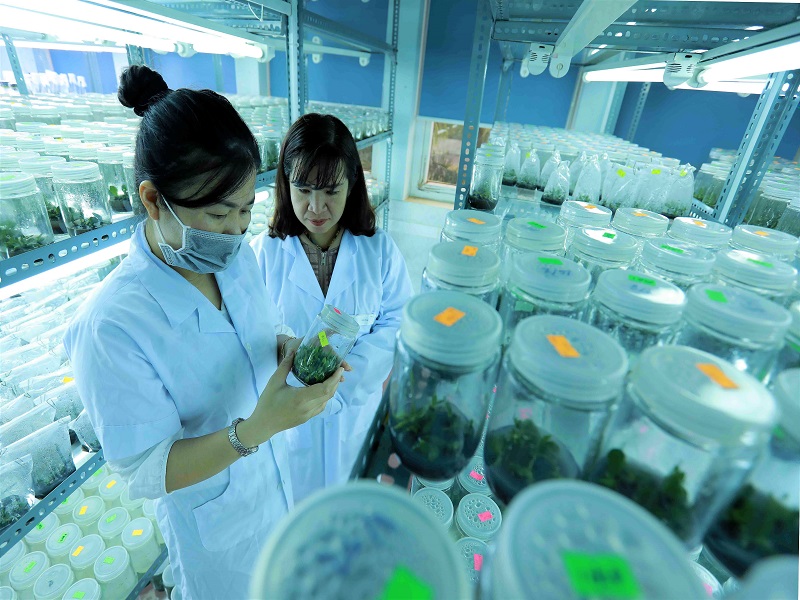 Nestlé Việt Nam và La Vie phấn đấu hoàn trả 100% lượng nước sử dụng trong năm 2025