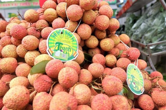Hải Dương đã thụ được 85% sản lượng vải sớm