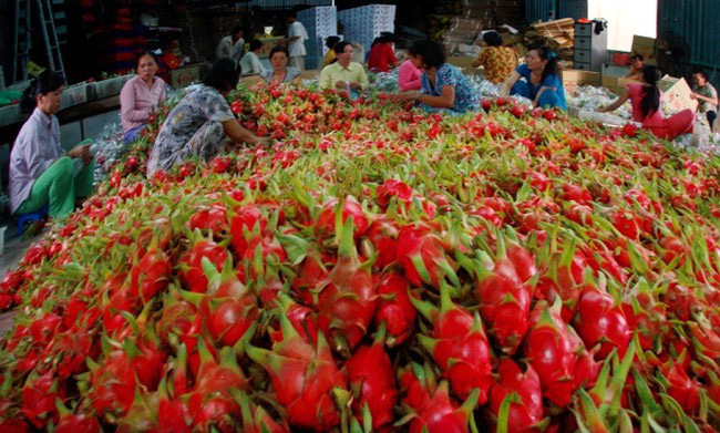 Xuất khẩu nông, lâm, thủy sản Việt Nam tăng 30% trong 5 tháng đầu năm
