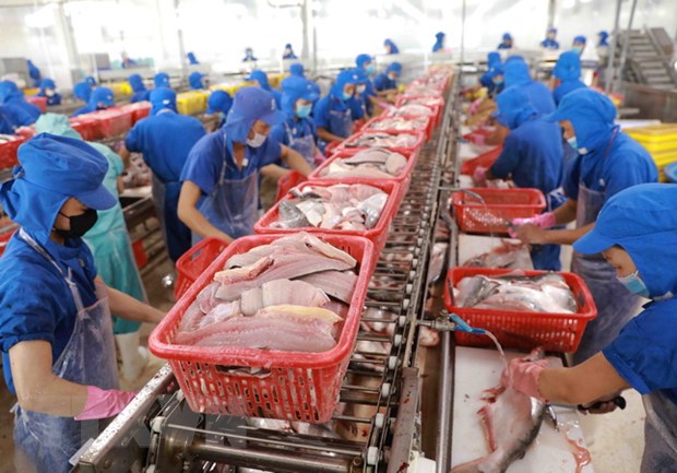 Từ 20/6, Trung Quốc ngừng nhập khẩu thực phẩm đông lạnh từ Việt Nam