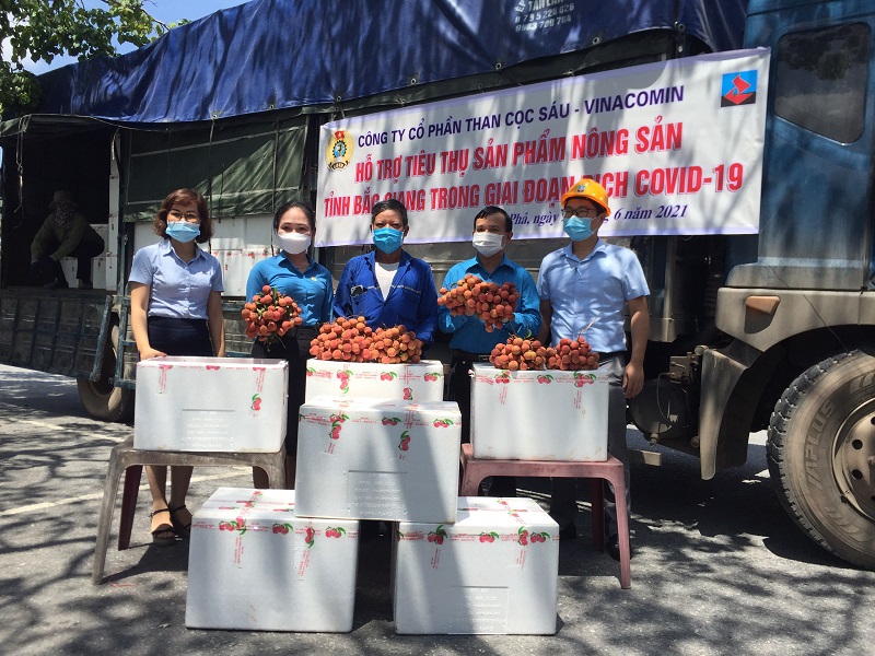 Than Cọc Sáu hỗ trợ tiêu thụ 4,6 tấn vải thiều cho nông dân Bắc Giang