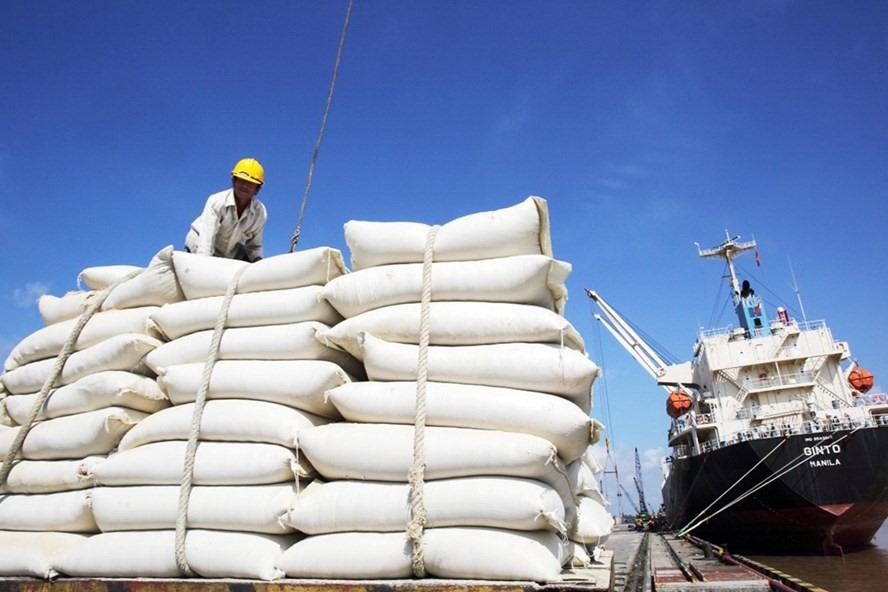 5 doanh nghiệp xuất nhập khẩu gạo Ấn Độ sẽ bị kiểm tra