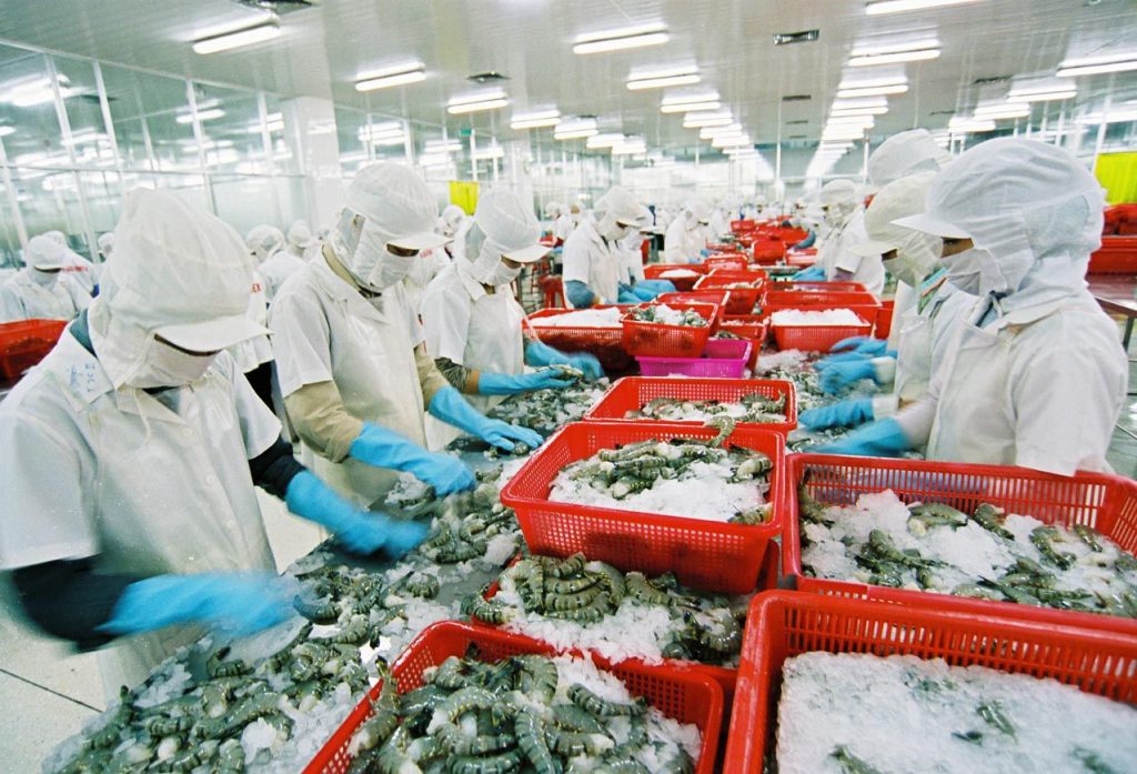 Ngành thủy sản Việt Nam sẽ tổn thất khoảng 480 triệu USD mỗi năm nếu mất thị trường EU