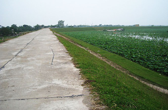 Đầu tư gần 121 tỷ đồng cải tạo, nâng cấp đê hữu Hồng (huyện Thanh Trì)