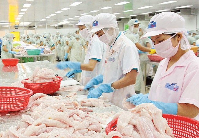 Nông nghiệp phía Nam: Khẩn trương gỡ vướng thu hoạch và tiêu thụ