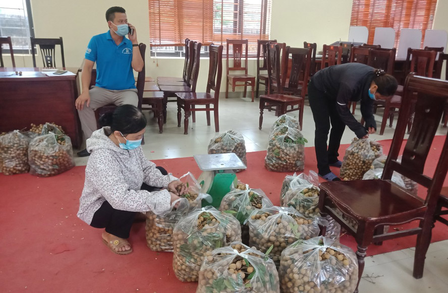 Hà Nội: Các địa phương tích cực hỗ trợ tiêu thụ nông sản