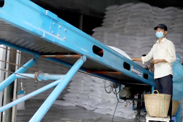 Xuất cấp gạo dự trữ hỗ trợ người dân ở các địa phương bị ảnh hưởng nặng bởi dịch