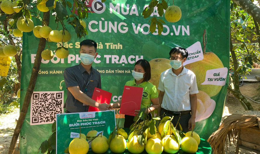 Vỏ Sò, Sen Đỏ và Postmart đồng loạt đưa na, bưởi lên sàn thương mại điện tử