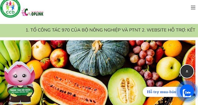 Mở ra không gian mới cho sản xuất và tiêu thụ nông sản