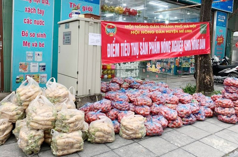 Tạo thuận lợi nhất cho hoạt động vận chuyển, sản xuất, tiêu thụ nông sản
