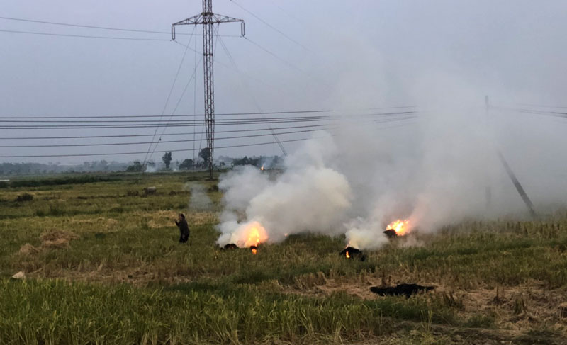 Lãng phí sử dụng phụ phẩm trong nông nghiệp