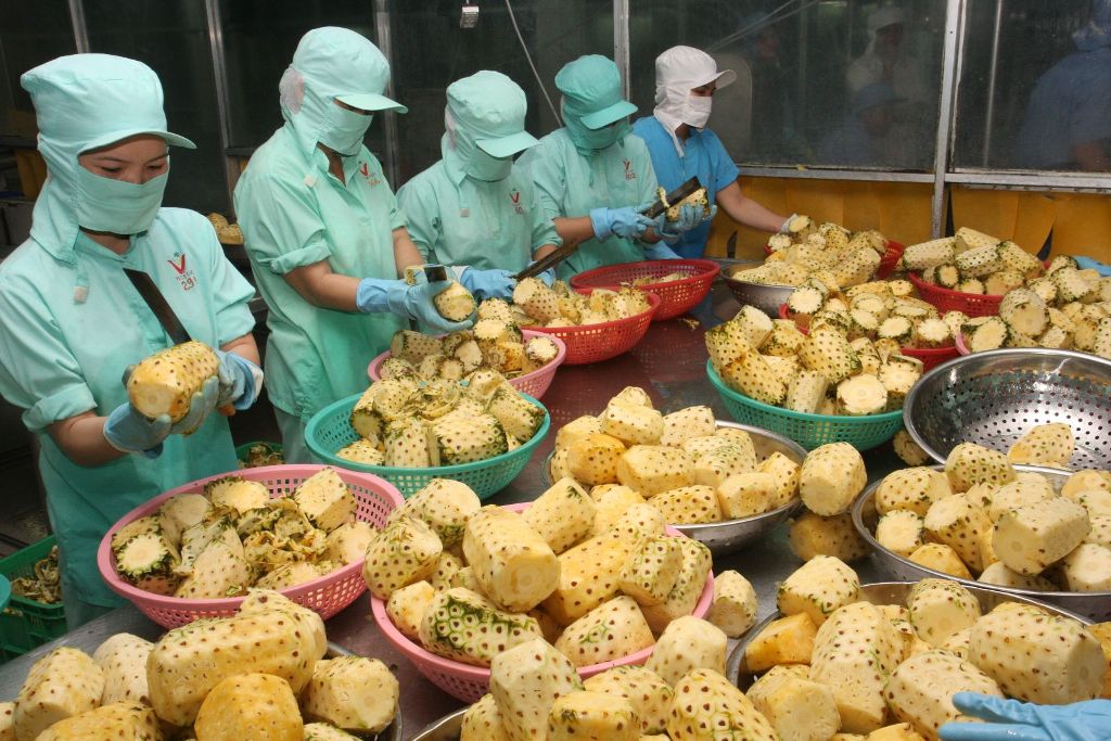 Xuất khẩu các mặt hàng nông sản giảm mạnh trong tháng 8-2021