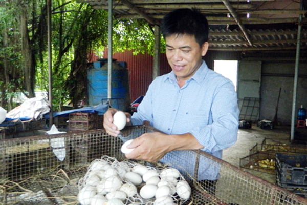 Gặp "Nông dân Việt Nam xuất sắc" năm 2018 tỉnh Hưng Yên