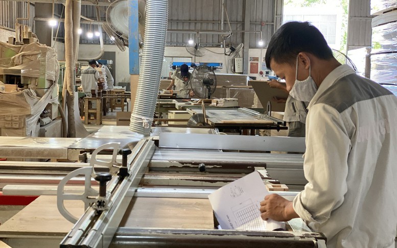 Vật liệu gỗ xây dựng: Góc nhìn từ thị trường nguyên liệu đến chiến lược lâm nghiệp