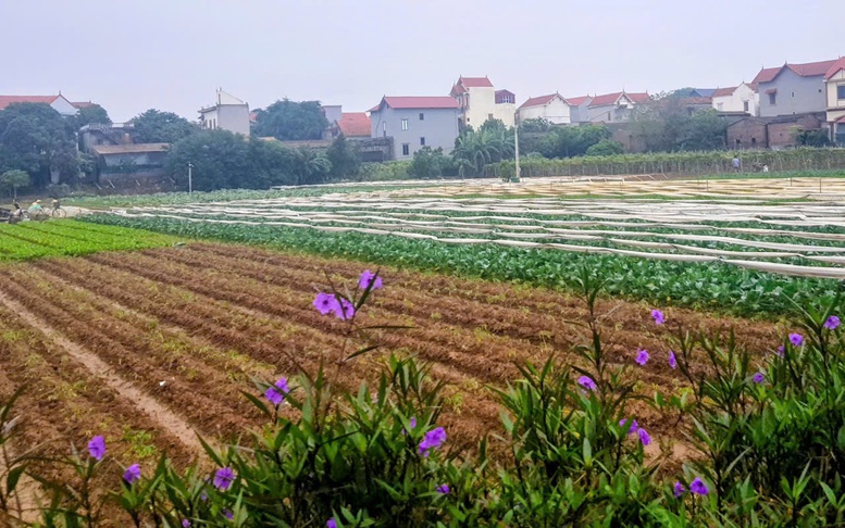 Đẩy nhanh hoàn thiện cơ sở dữ liệu đất đai, Hà Nội bước vào giai đoạn