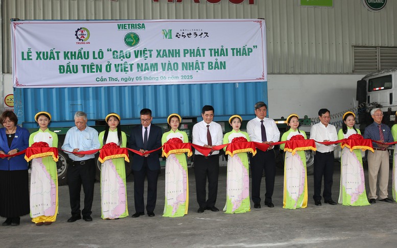 Giữ vững nhịp xuất khẩu gạo bằng chiến lược chất lượng cao