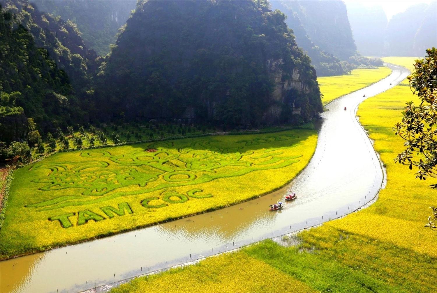 Ninh Bình tăng trưởng 11,31%, quyết tâm giữ nhịp 