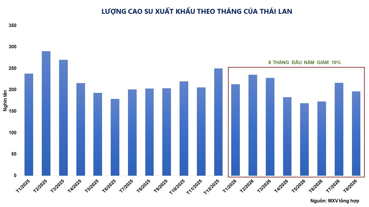 THỊ TRƯỜNG HÀNG HÓA: Giá cao su lập đỉnh 13 năm- Ảnh 3.